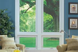 Living room window view of a lush garden.