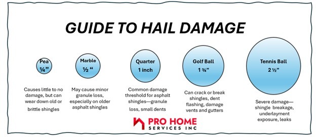 Hail damage guide with size and impact descriptions.
