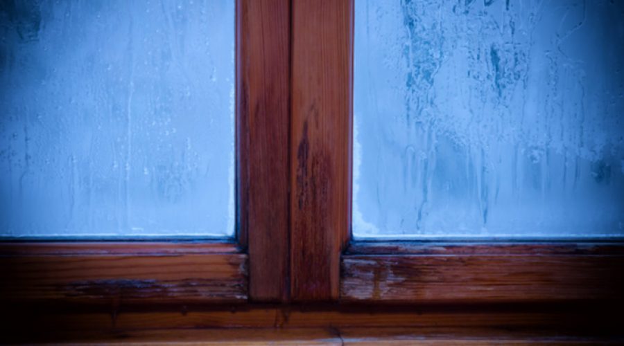 Pro-Home-leaky-window-small-shutterstock_739111588