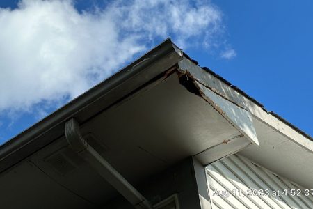 damaged fascia