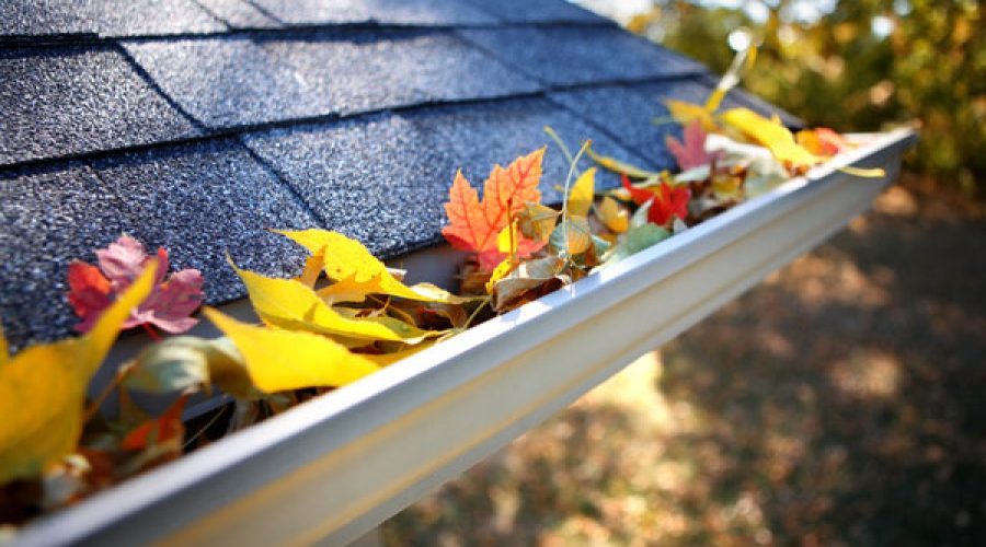 gutter-with-leaves