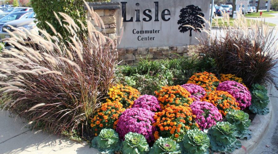 Lisle Colorful flowers at Lisle Commuter Center sign.