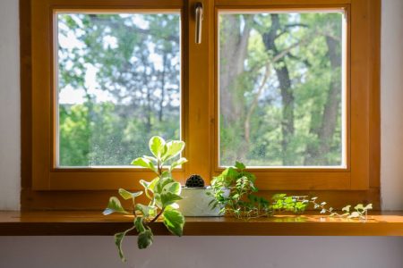 Difference Between Wood and Vinyl Windows